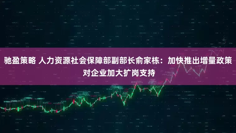 驰盈策略 人力资源社会保障部副部长俞家栋：加快推出增量政策 对企业加大扩岗支持