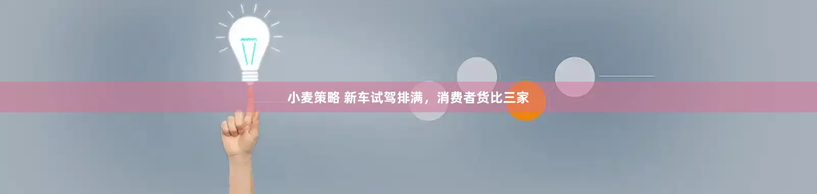 小麦策略 新车试驾排满，消费者货比三家