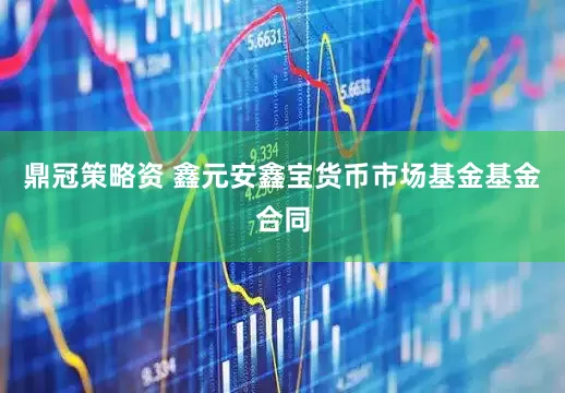 鼎冠策略资 鑫元安鑫宝货币市场基金基金合同