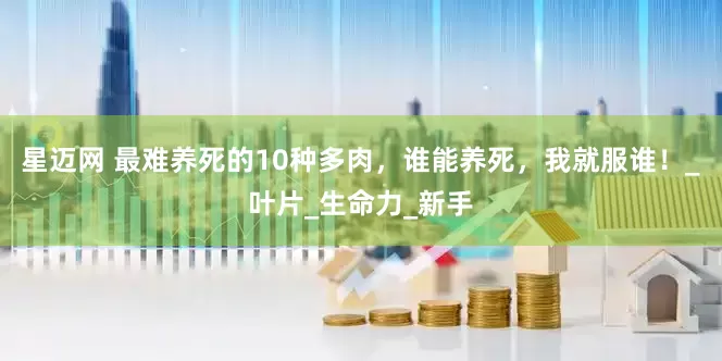 星迈网 最难养死的10种多肉，谁能养死，我就服谁！_叶片_生命力_新手