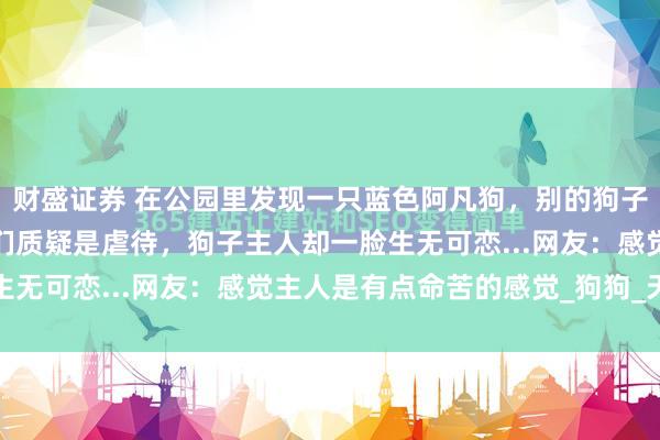 财盛证券 在公园里发现一只蓝色阿凡狗，别的狗子都羡慕的不得了，网友们质疑是虐待，狗子主人却一脸生无可恋...网友：感觉主人是有点命苦的感觉_狗狗_天性