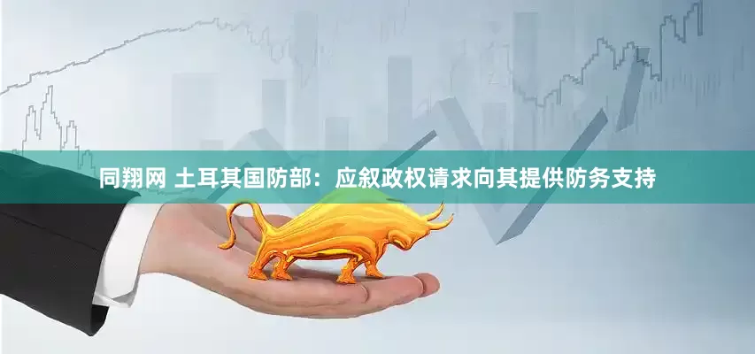 同翔网 土耳其国防部：应叙政权请求向其提供防务支持
