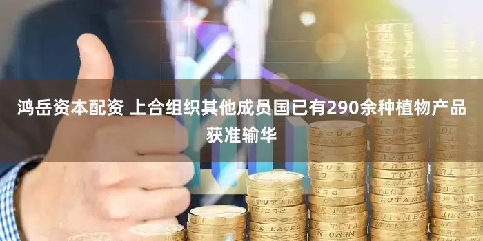 鸿岳资本配资 上合组织其他成员国已有290余种植物产品获准输华
